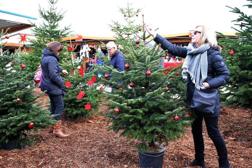 Weihnachtliches auf dem Markt der WfB.