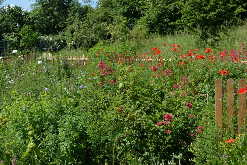 Für die Veranstaltung „Herne macht grün“ werden die öffentlichen Parkplätze am entsprechenden Abschnitt des Westrings für einen Tag gesperrt und sollen als Raum für Freizeit, Bewegung und Erholung genutzt werden (Symbolbild).