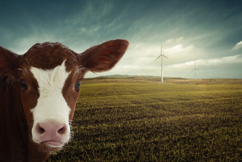 Digitale Veranstaltung des Eine Welt Zentrum zum über Klimawandel und weltweite Ernährung.