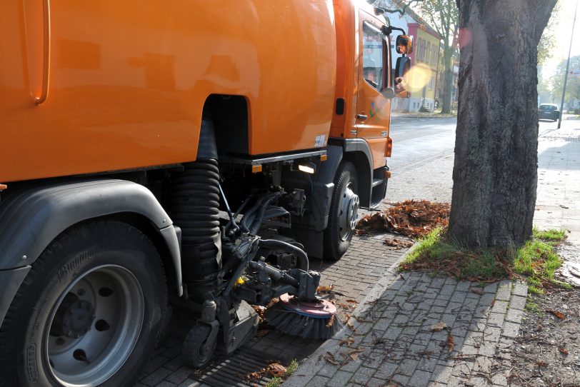 Herbstlaub-Sauger.