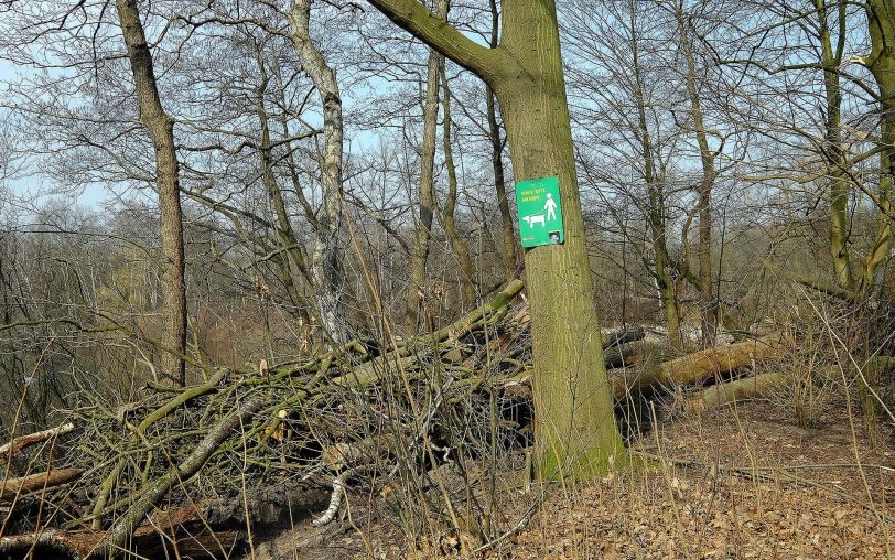 Waldwege..