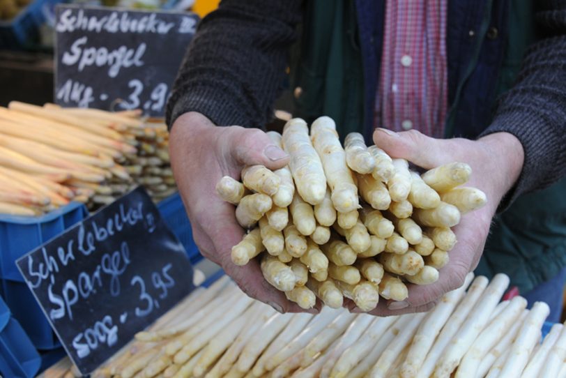 Erntefrischer Spargel - wer soll ihn in Corona-Zeiten stechen?