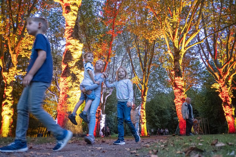 Spaß im illuminierten Wald für Groß und Klein.