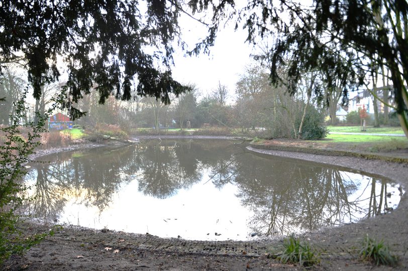Februar 2026: Wieder Wasserverlust. Im Sommer 2025 wurde die Teichanlage im Florapark aufwendig repariert.