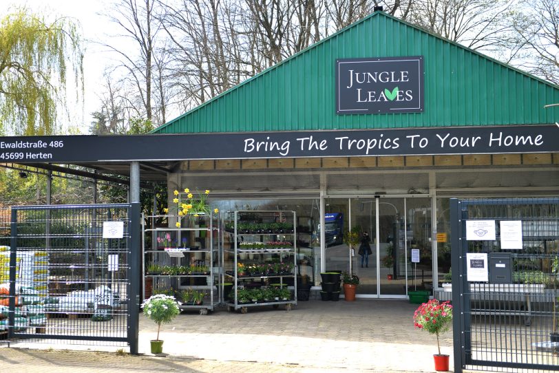 Drei Biologen der RUB eröffneten mit &amp;amp;amp;amp;#039Jungle Leaves&amp;amp;amp;amp;#039; einen etwas anderen Pflanzenladen an der Stadtgrenze.