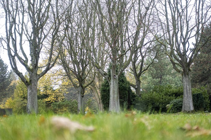 Ökumenische Andacht zu Allerheiligen auf dem Wiescherfriedhof in Herne (NW), am Sonntag (01.11.2020).