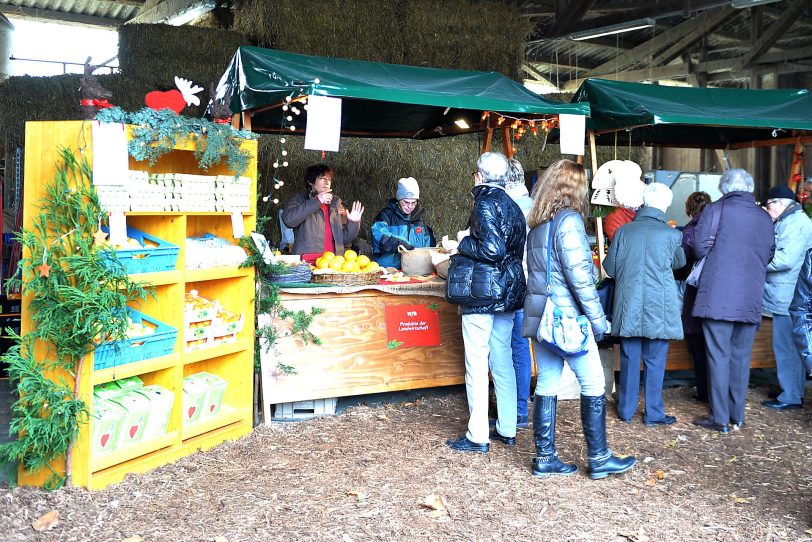 Weihnachtliches auf dem Markt der WfB.