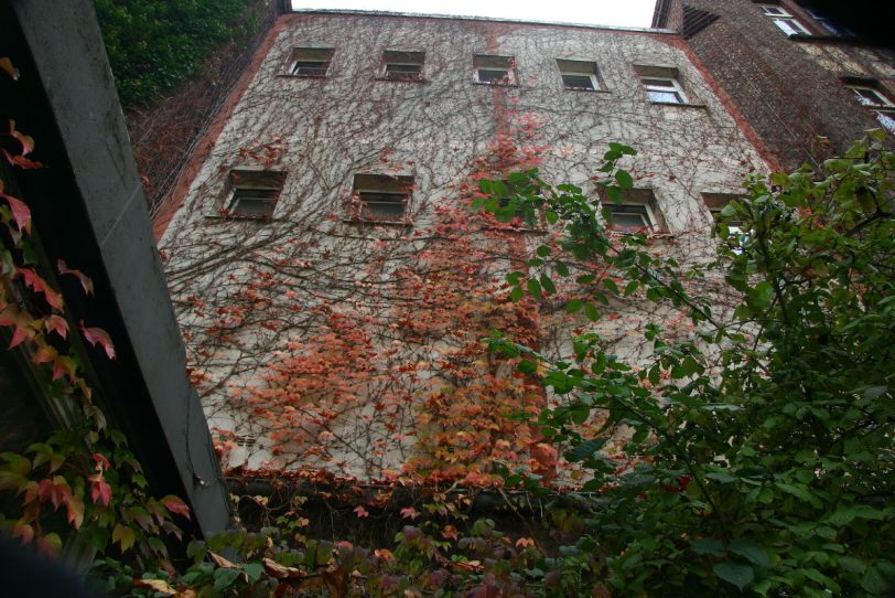 Die Königin-Luisen-Schule im Jahr 2007