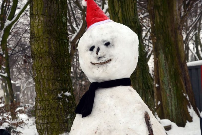 Ein eisiger Mann aus Schnee.
