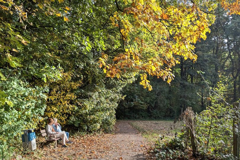 Herbstlicher Spaziergang im Gysenberg-Wald. Einzelne Jogger, Spaziergänger mit und ohne Hund, mit Pferd oder Kinderwagen genießen im Oktober 2024 eine kleine Auszeit vom hektischen Alltag.