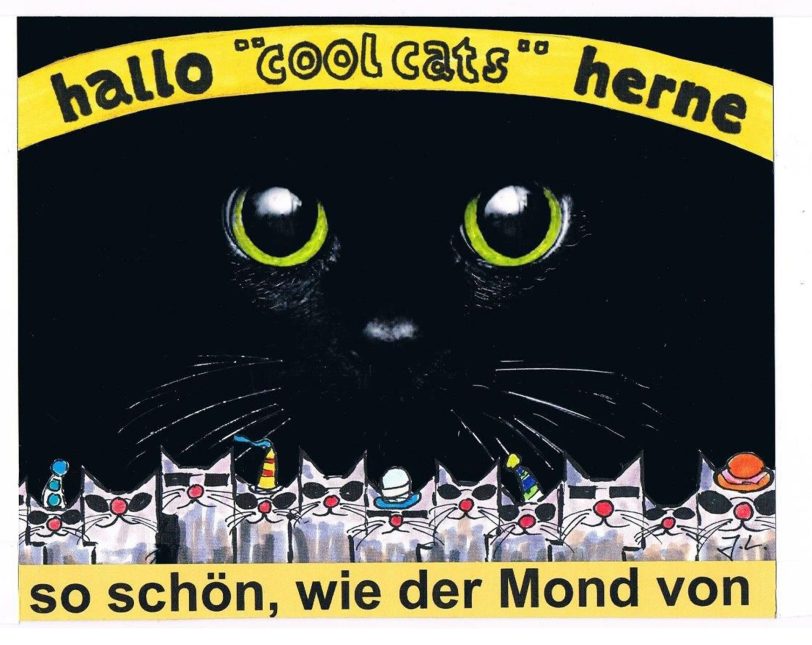 Mond-Nacht-Katzen.