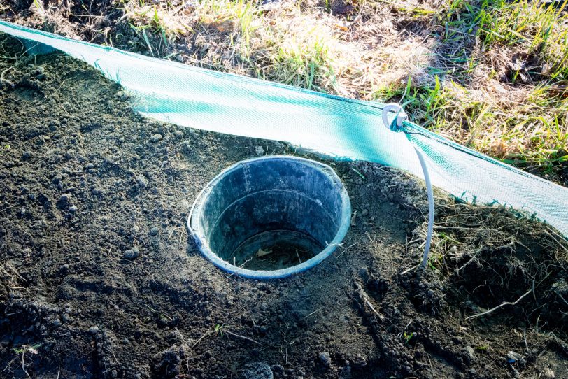 Eimer für die Kröten.