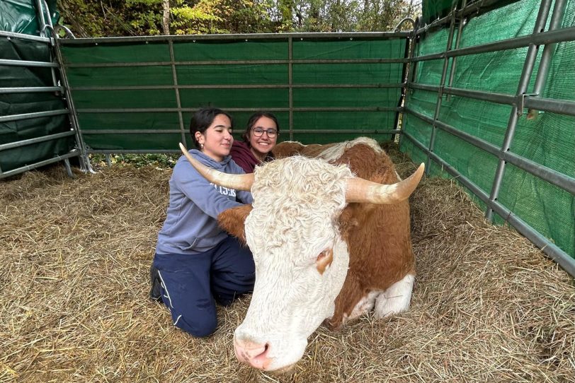 Herner Tierschutzjugend auf dem Lebenshof in Witten.