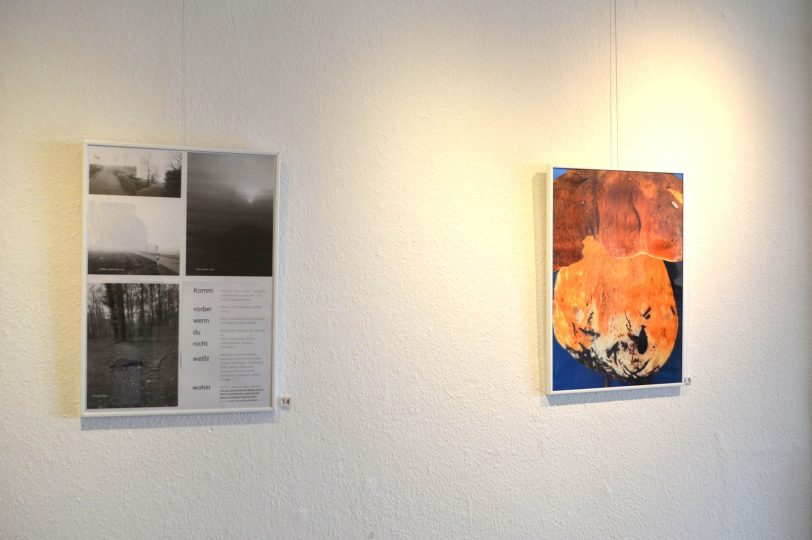 Fotografien mit Text, links Udo Petricks „Philosophische Banalitäten“, und ohne Text, rechts der digitale Druck eines stark vergrößerten Steinpilzes vom Polarkreis. „Wenn es den nicht gäbe“, so Hans-Jürgen Jaworski, „würde ich keine Spaziergänge machen.“