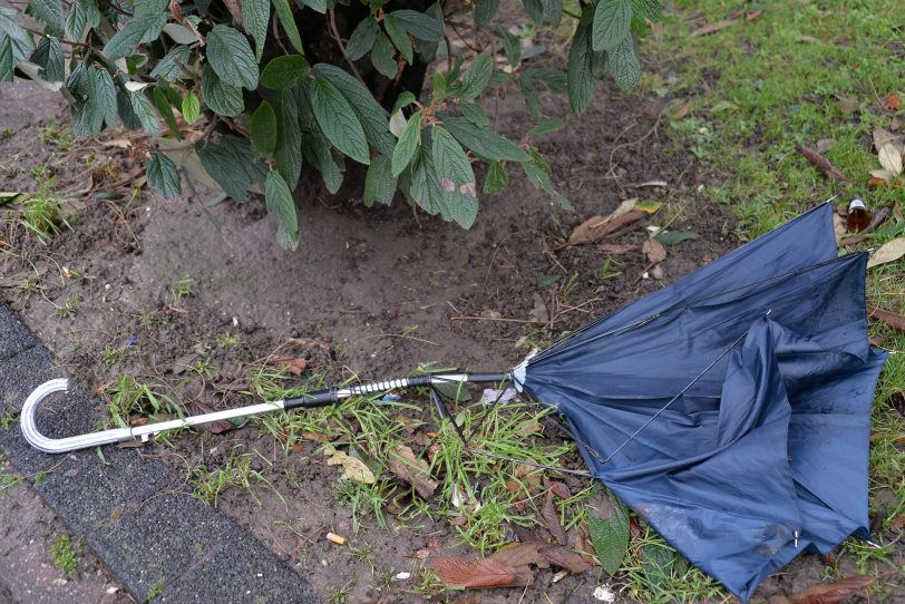 Der Regenschirm hat schon vor dem Sturmtief 'Friederike' die Flügel gestreckt.