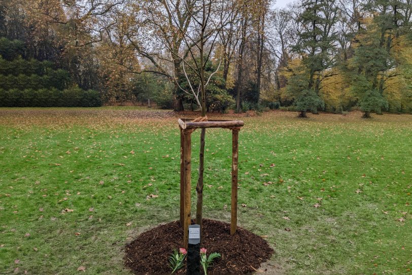 Eine Stele und eine Flügelnuss erinnern an das Wirken des Josef Göbbeler im Stadtbezirk Eickel.