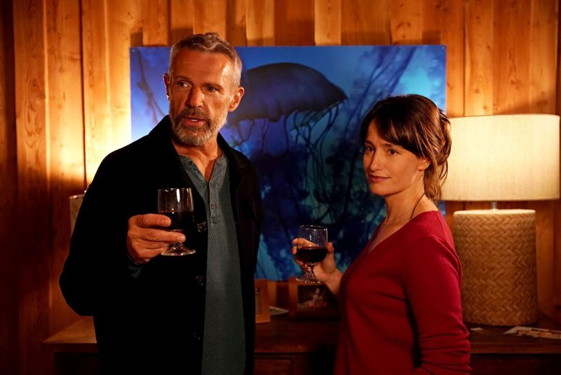 Der erfolgsverwöhnte Unternehmer Vincent (Lambert Wilson) umgarnt die verwitwete Camille (Marie Gillain) – doch die hat nur Augen für jemand anderen.