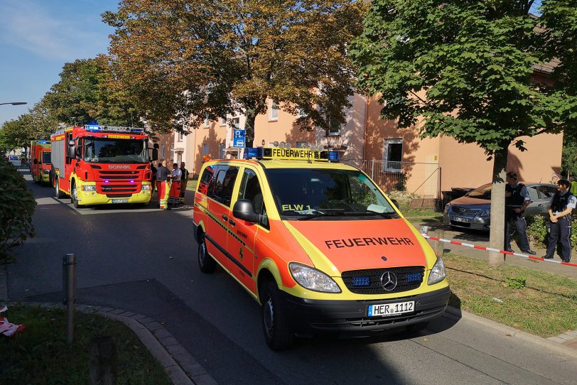 Einsatz an der Bruchstraße: Schlange gefunden.