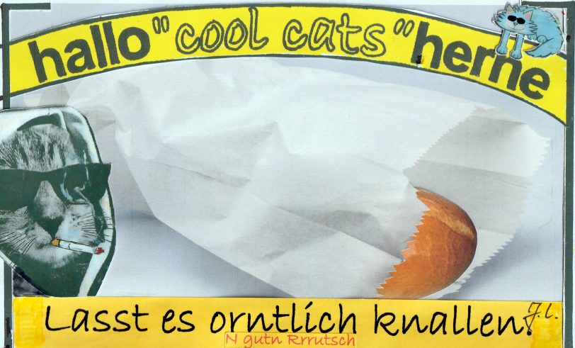 Die Cool Cats geben Tipps, wie man es trotz Böllerverbot ordentlich knallen lassen kann.