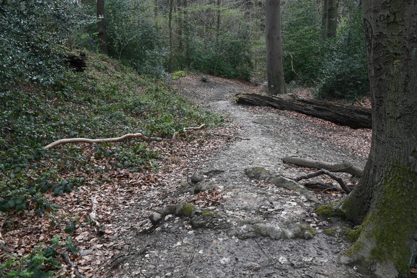 Ein versteckter Trail im Gysenbergpark.