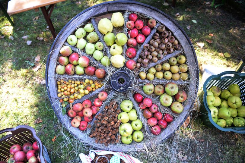 Umwelt- und Familienfest im BUND-Garten