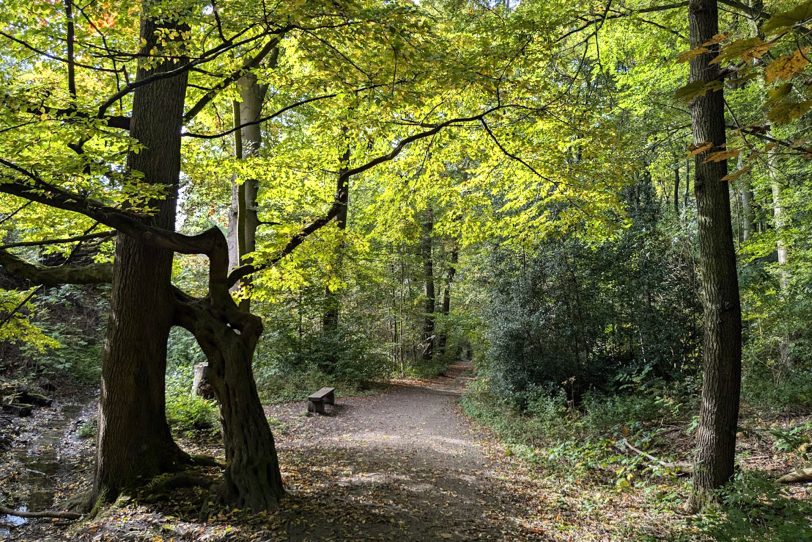 Herbstlicher Spaziergang im Gysenberg-Wald. Einzelne Jogger, Spaziergänger mit und ohne Hund, mit Pferd oder Kinderwagen genießen im Oktober 2024 eine kleine Auszeit vom hektischen Alltag.