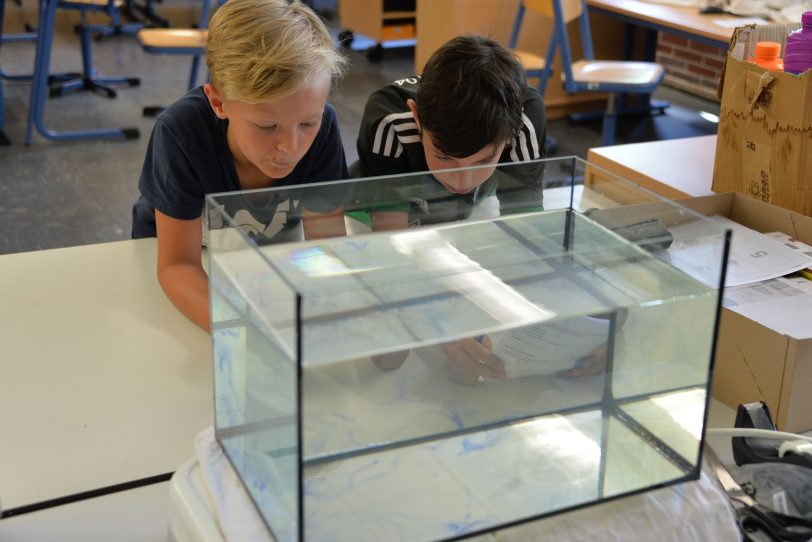 Sinkt die Farbe im warmen oder im kalten Wasser schneller?