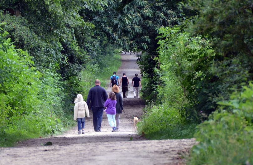 Parks und öffentliche Grünanlagen.