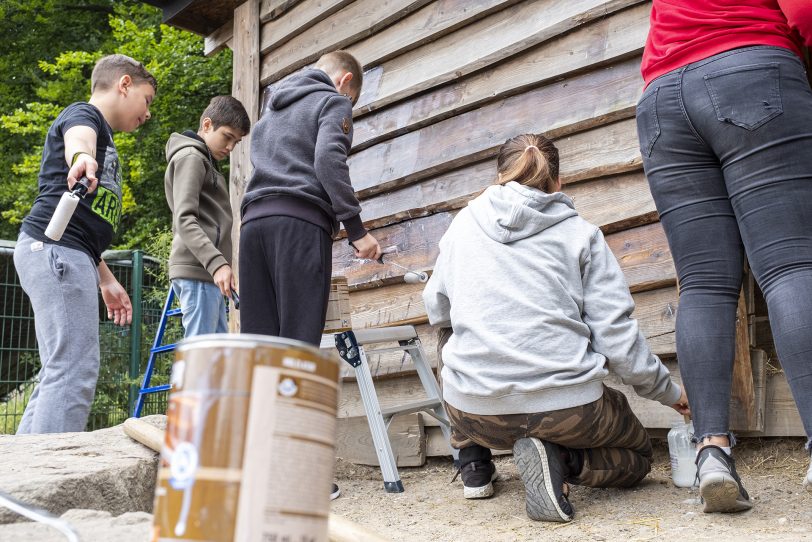 Streichaktion der Jugendfeuerwehr Herne im Streichelzoo im Revierpark Gysenberg in Herne (NW), am Sonntag (14.07.2019). Jugendliche und Betreuer haben die Holzunterstände der Tiere ausgemistet und anschließend gestrichen.