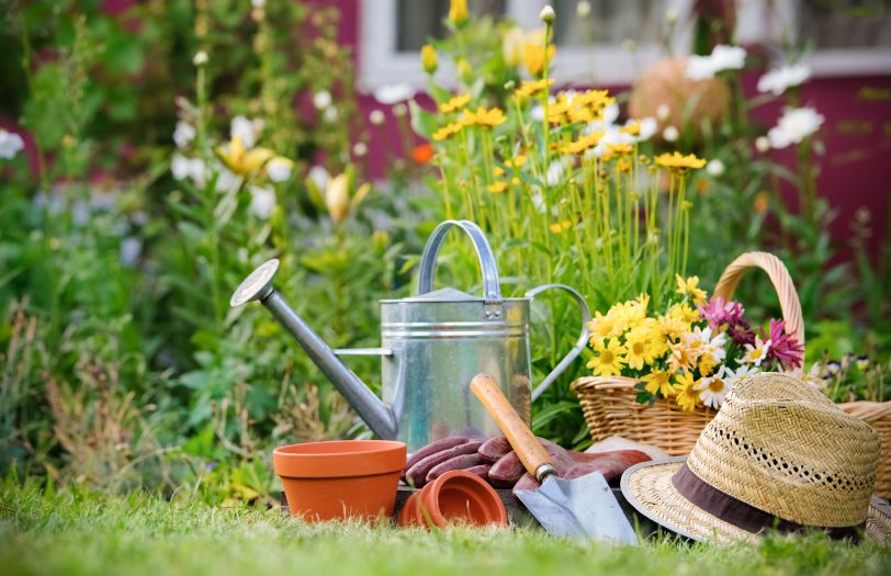 Nur gute Kenntnisse über einheimische Gartenpflanzen schützen vor möglichen Vergiftungen.