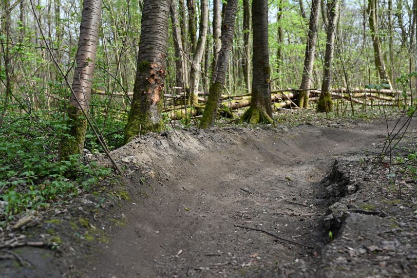 Präparierte Strecke in dem Waldgebiet hinter der Hügelstraße.