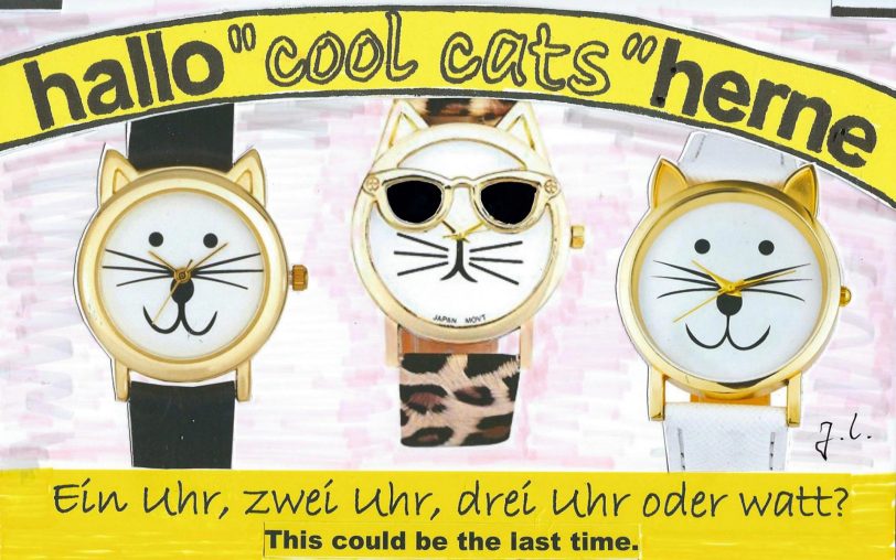 Die cool cats sind verwirrt.