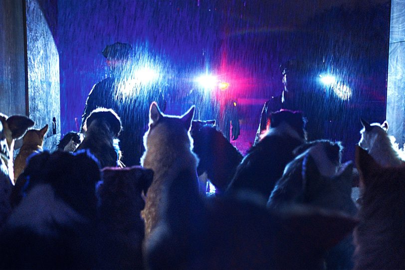 Dutzende Hundeaugen blicken den Polizisten bei einer nächtlichen Fahrzeugkontrolle in Newark entgegen.