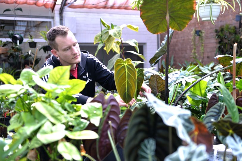 Drei Biologen der RUB eröffneten mit &amp;amp;amp;amp;#039;Jungle Leaves&amp;amp;amp;amp;#039; einen etwas anderen Pflanzenladen an der Stadtgrenze. im Bild: Patrick Schlütting der Experte für Aronstabgewächse, Bromelien und  Aasblumen.