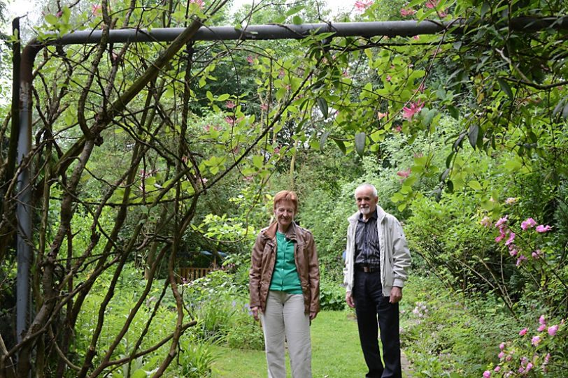 Offene Gartenpforte bei Anke Bolsmann (Archiv).