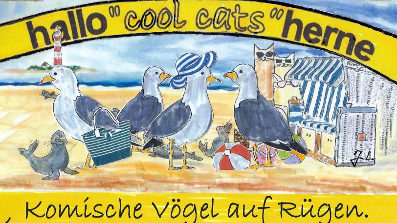 Komische Vögel auf Rügen, finden die cool cats.