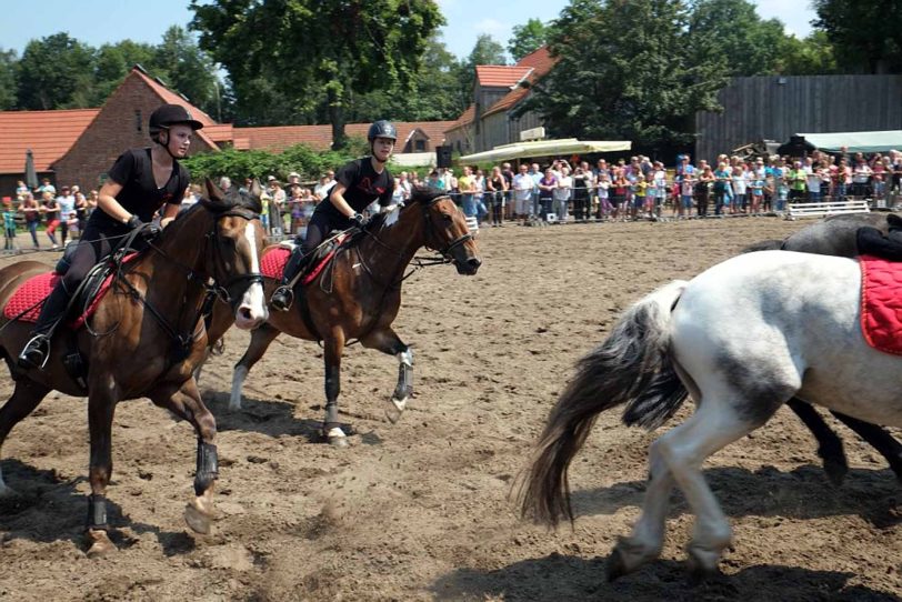 Pferdemarkt auf Gut Steinhausen.