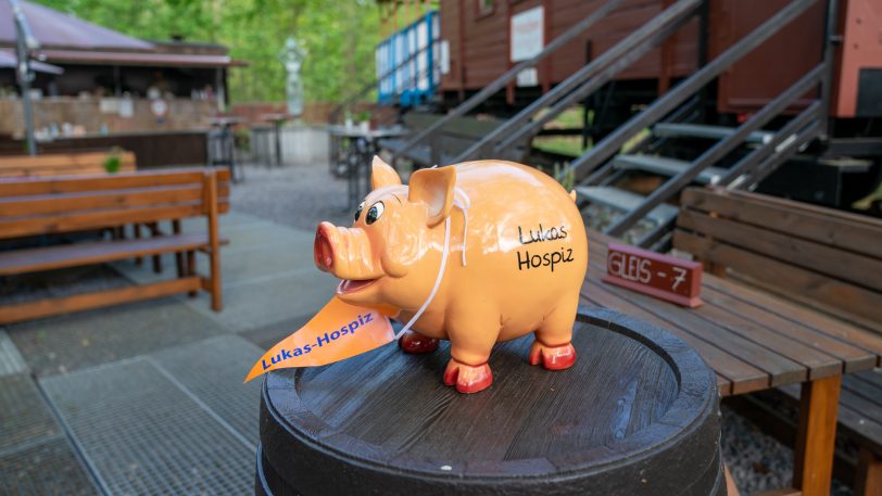 Das Schweinchen will gefüttert werden.