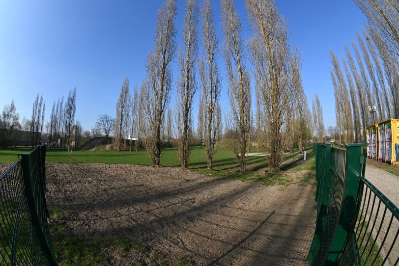 Punkt 14 auf der Tagesordnung: Umzäunung Hundewiese.