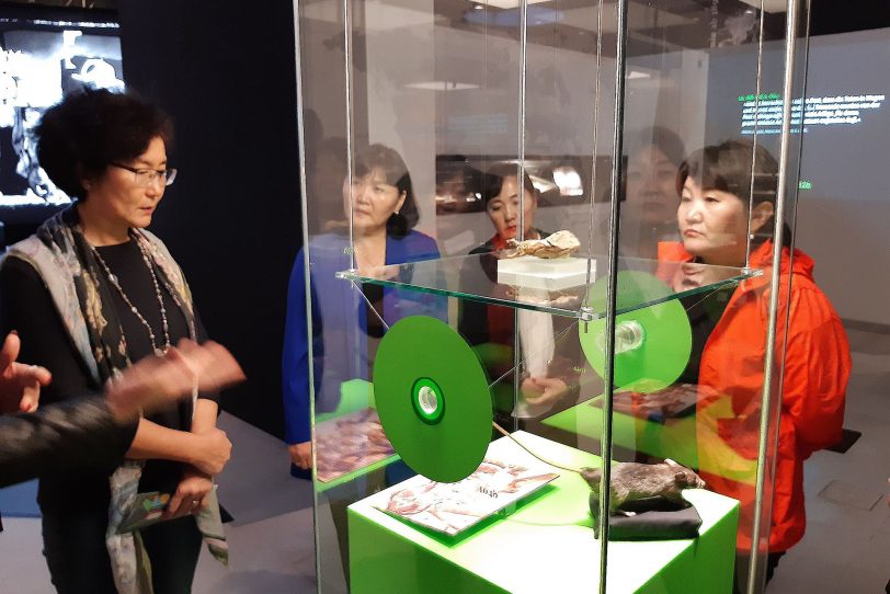 Die mongolische Delegation informierte sich in der Sonderausstellung über die mittelalterlichen Pest-Überträger.