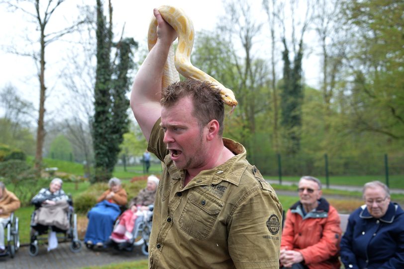 Martin Tränkler mit einer Albino-Tiger-Python.