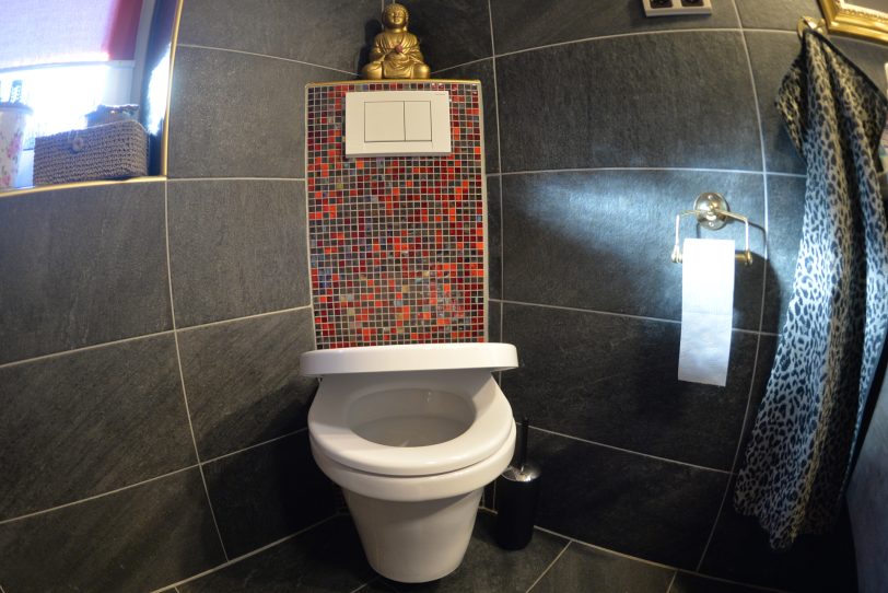 Kein Scherz: Jährlich am 26. August findet der Internationale Tag des Toilettenpapieres statt (Symbolbild).