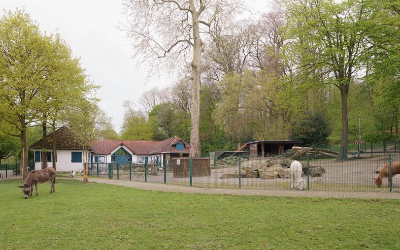 Der Streichelzoo im Revierpark Gysenberg wurde am Donnerstag (11.4.2024) wiedereröffnet. Nun beklagen die Verantwortlichen beklagt Schäden durch Vandalismus.