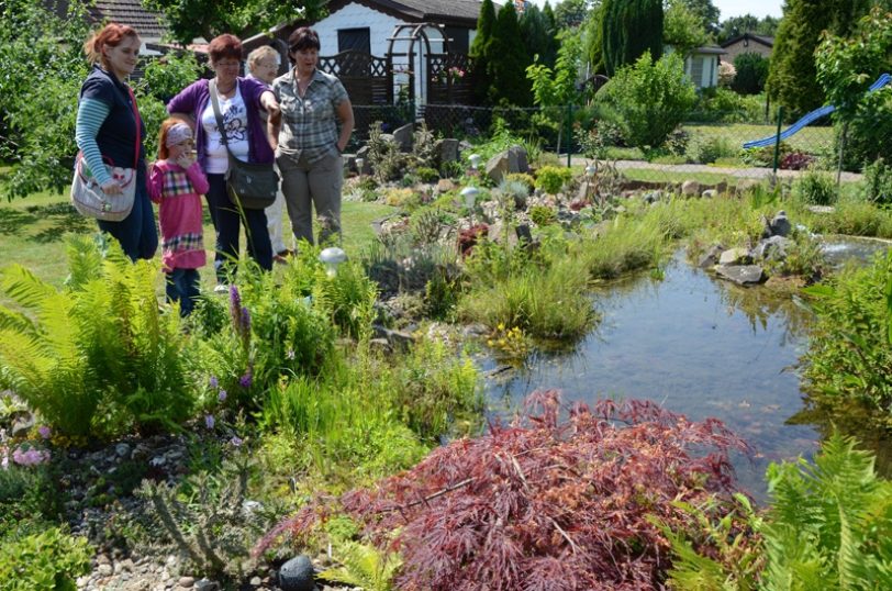 Garten Maruszczyk bei der offenen Gartenpforte 2013.