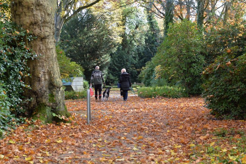 Friedhof Holsterhausen.