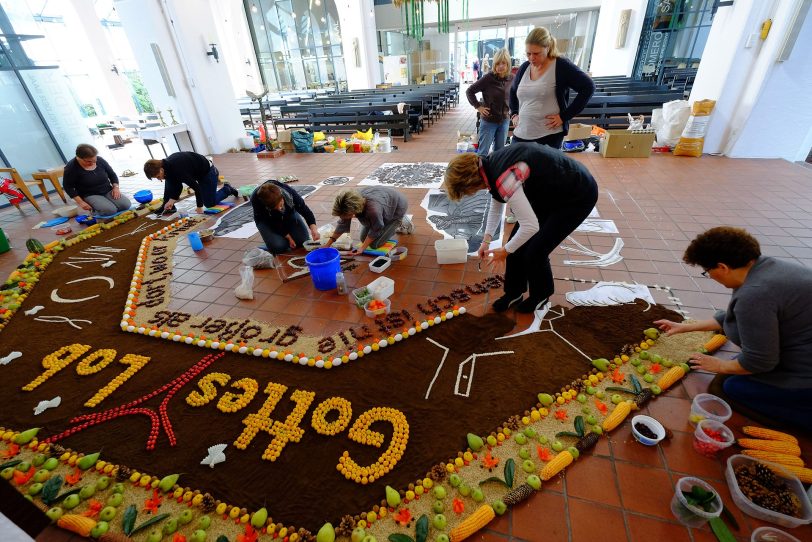 Der neue Früchteteppich ist in Arbeit.