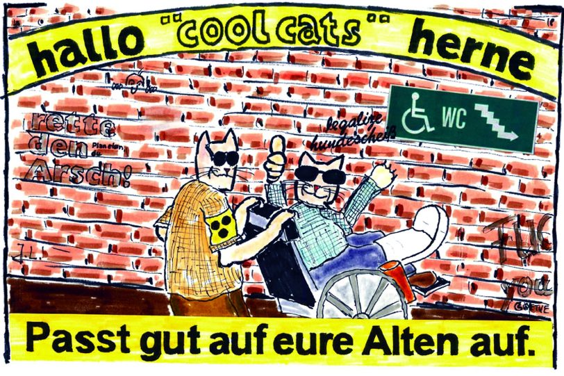 Die cool cats und die Pflege.