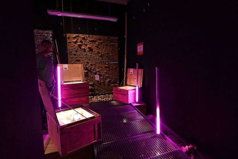 Lichtinstallationen in der Ausstellung
