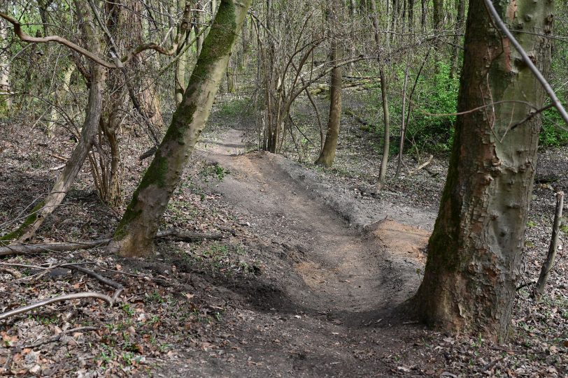 Präparierte Strecke in dem Waldgebiet hinter der Hügelstraße.