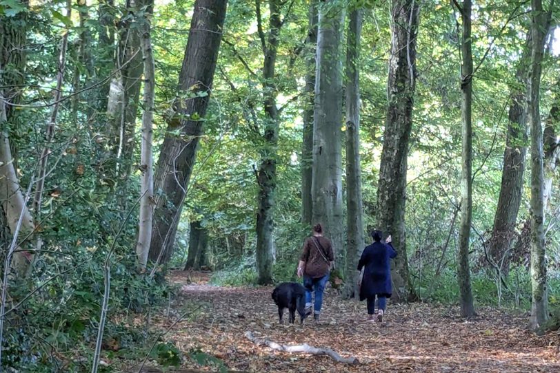 Herbstlicher Spaziergang im Gysenberg-Wald. Einzelne Jogger, Spaziergänger mit und ohne Hund, mit Pferd oder Kinderwagen genießen im Oktober 2024 eine kleine Auszeit vom hektischen Alltag.